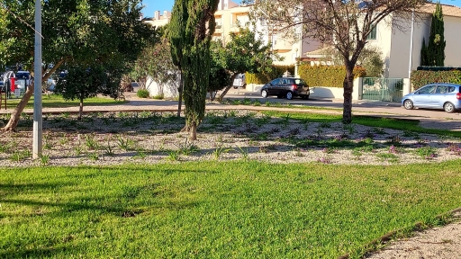 2021 12 PRACETA BADEM POWELL 3