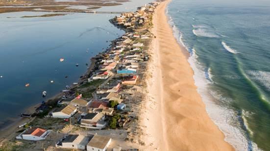 ilha faro biblioteca